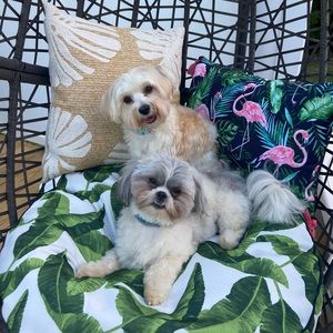 Meet your Posher, Tonya